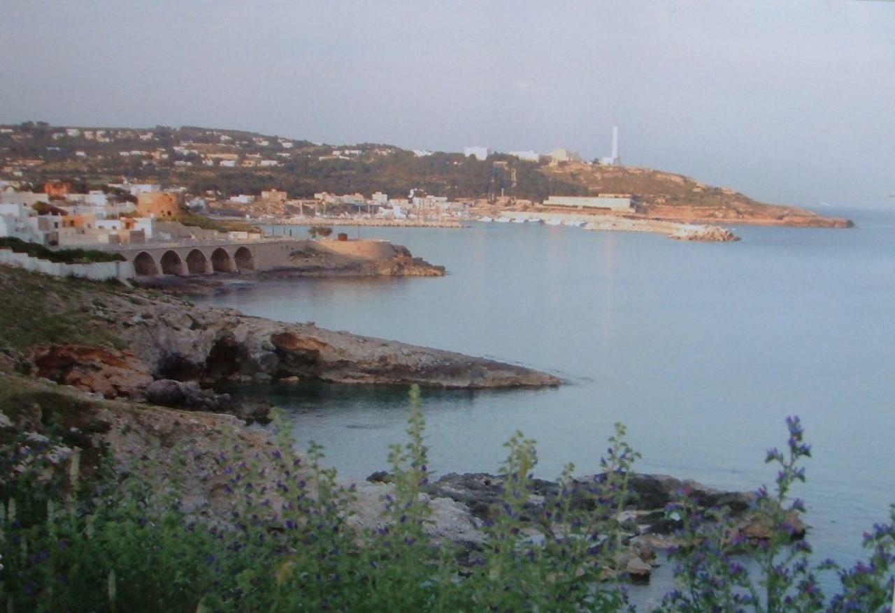 Casa Dell'olivo Holiday home Marina Di Pescoluse