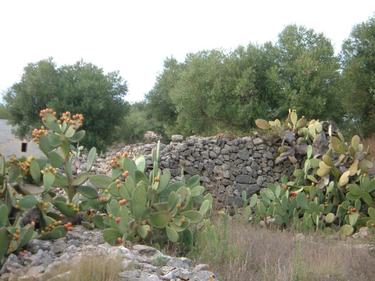 Casa Dell'olivo Marina Di Pescoluse