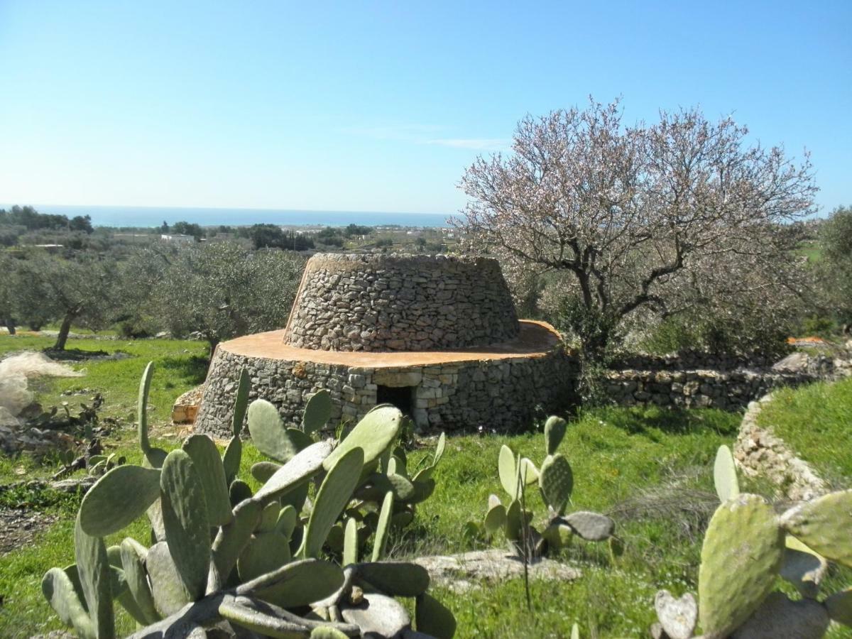 Casa Dell'olivo Holiday home